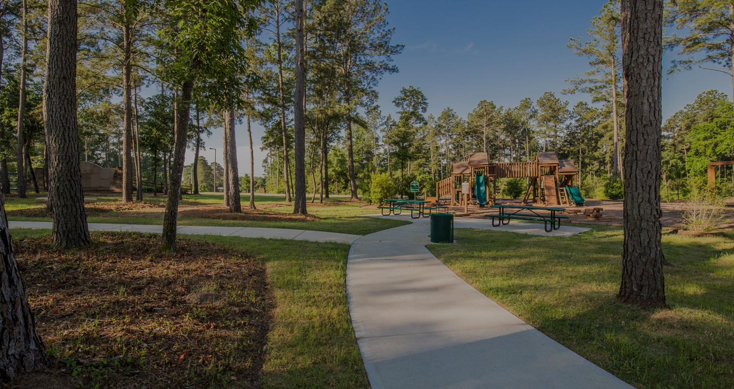 Treaty Oak Developers